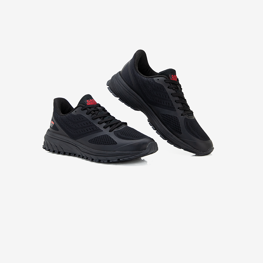 Wanderer Black 05