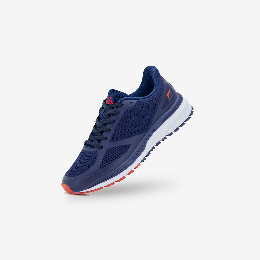 Wanderer Navy 03
