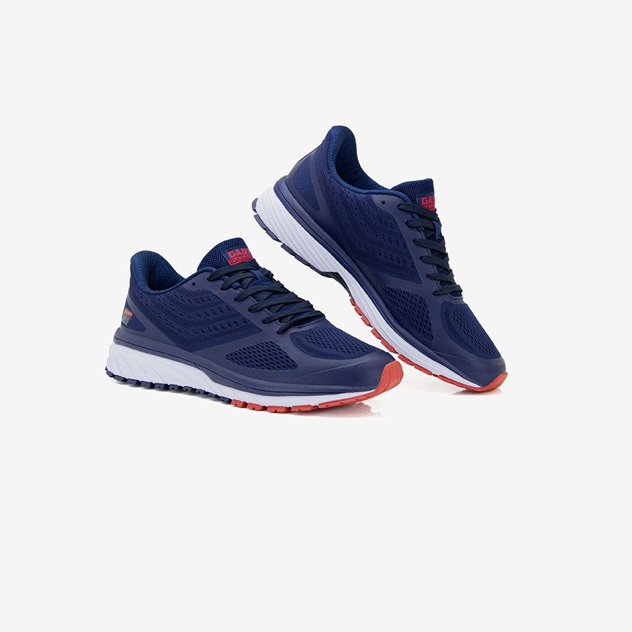 Wanderer Navy 05